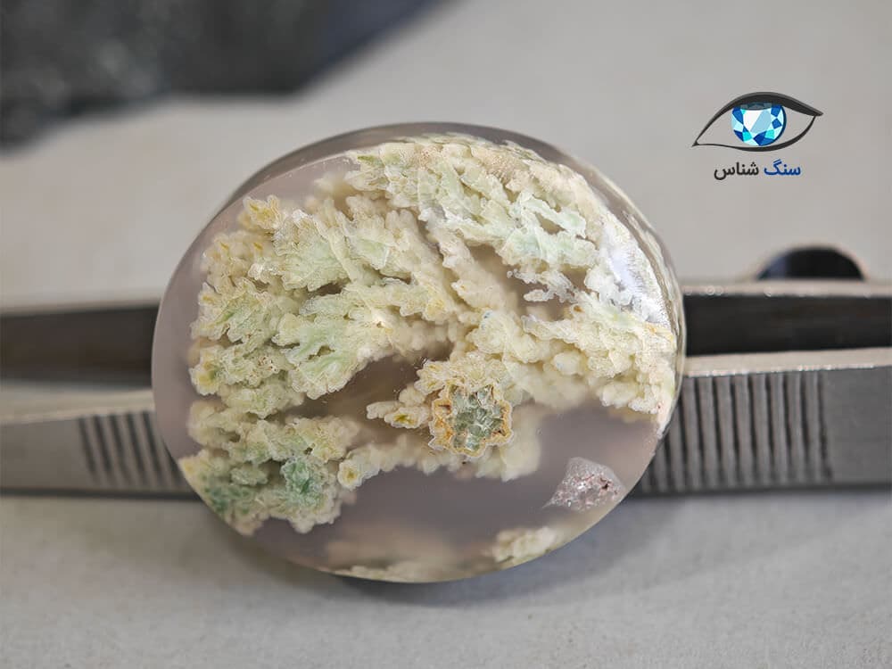 سنگ عقیق شجر بهاری 11.9 گرم — تصویر ۵
