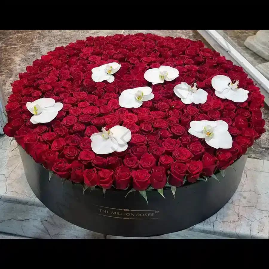 باکس گل لامیا — تصویر ۲