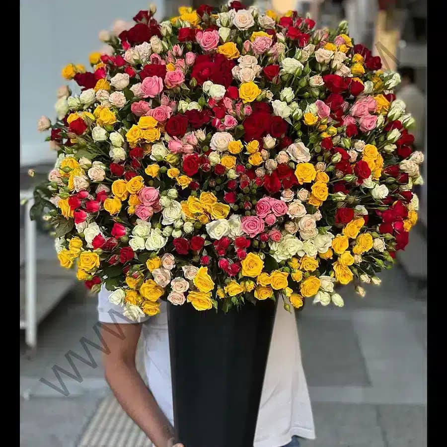 جام گل رزا — تصویر ۲