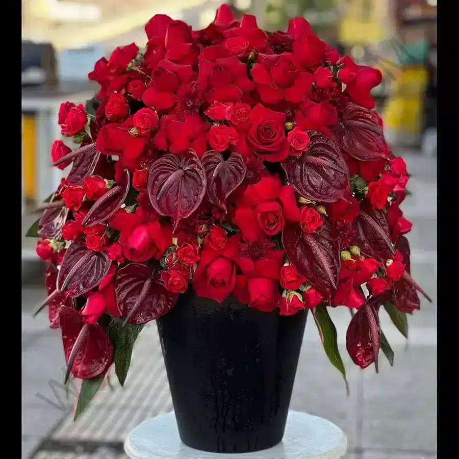 باکس گل لیبرا — تصویر ۲