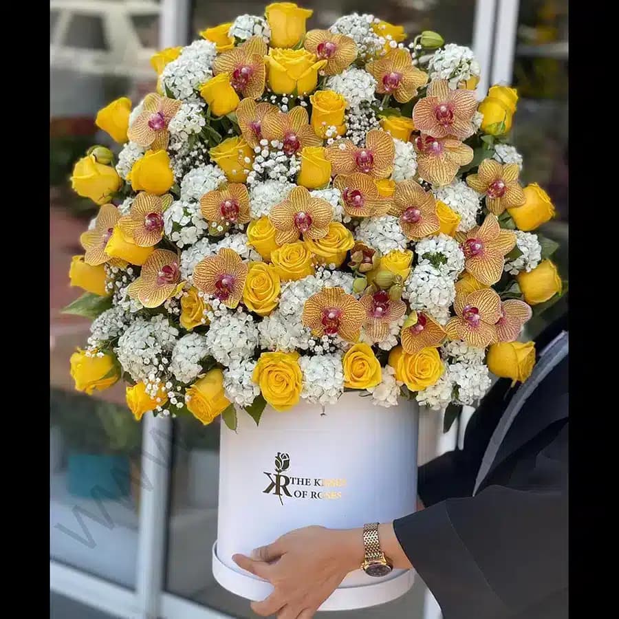 باکس گل هاله — تصویر ۲