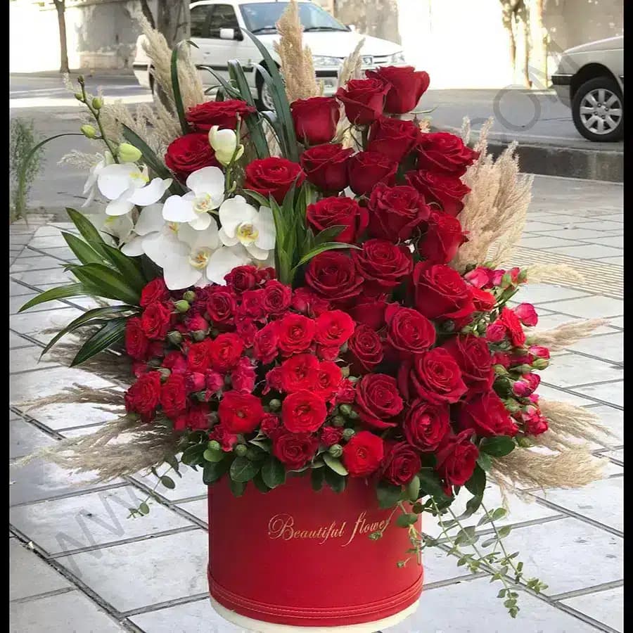 باکس گل ملورین — تصویر ۲
