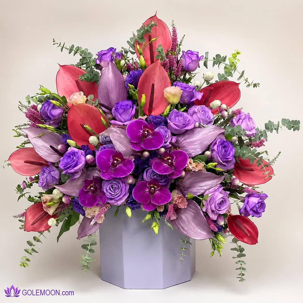 باکس گل اوا