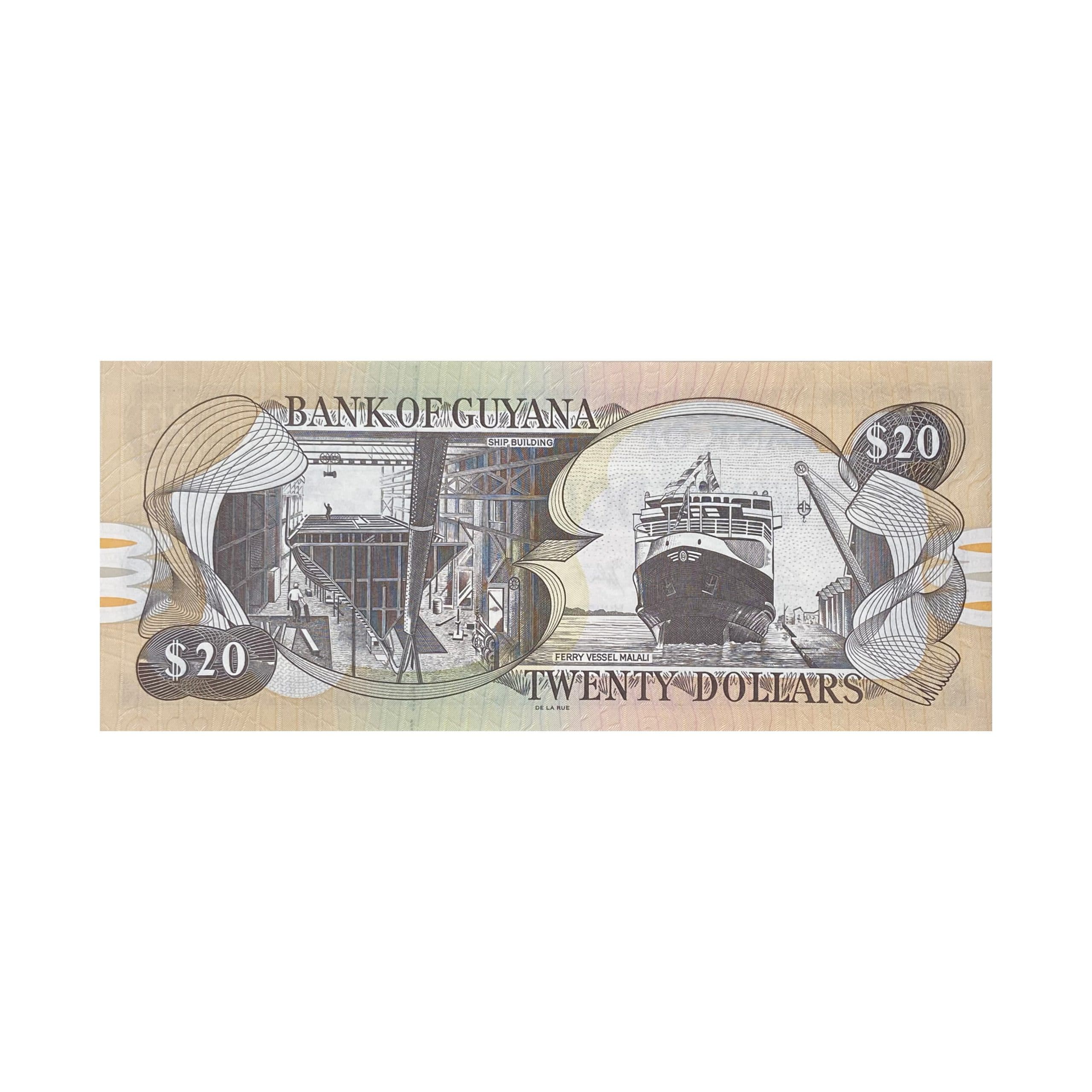 اسکناس 20 دلار گویان — تصویر ۲