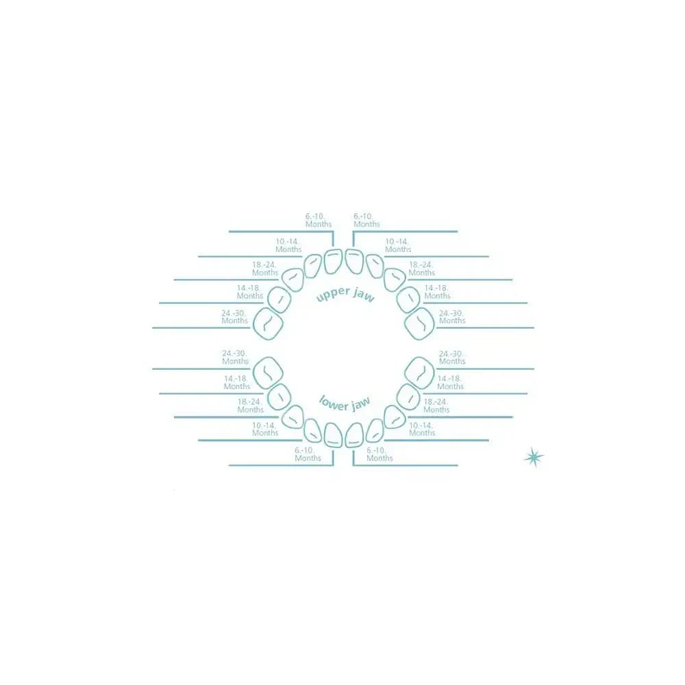 دندان گیر نیپ کد 22600009 — تصویر ۳