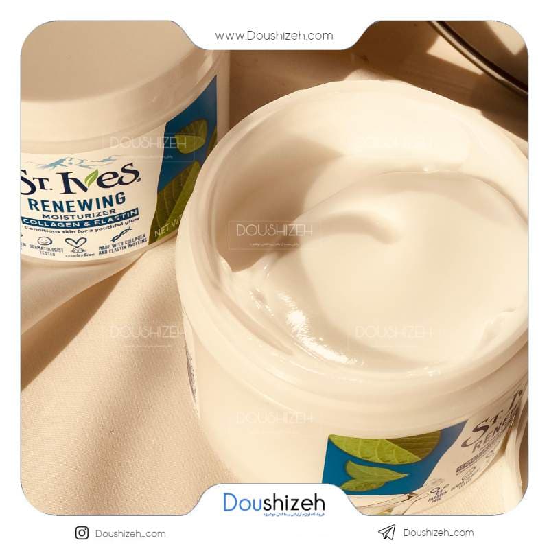 کرم آبرسان آمریکایی سینت ایوز ST.Ives — تصویر ۳