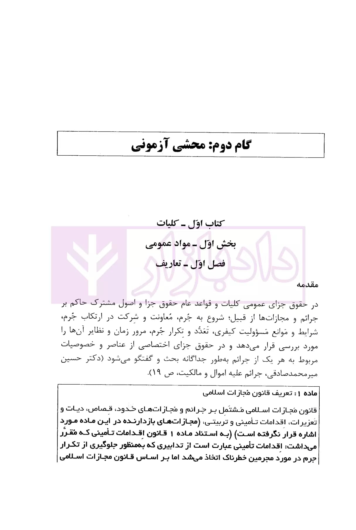 محشای حقوق جزای عمومی | رستمی و پیری — تصویر ۳