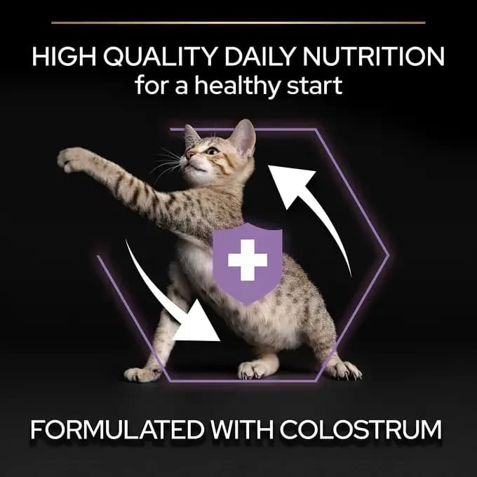 غذا خشک بچه گربه پروپلن (کیتن) طعم مرغ وزن 1 کیلوگرم (فله ای) ProPlan Kitten Healthy Start — تصویر ۴