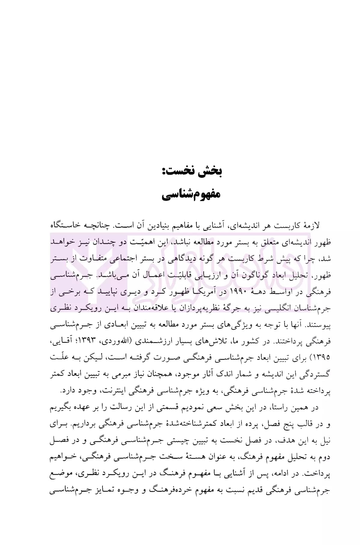 جرم شناسی فرهنگی اینترنتی | دکتر فرهادی آلاشتی — تصویر ۶