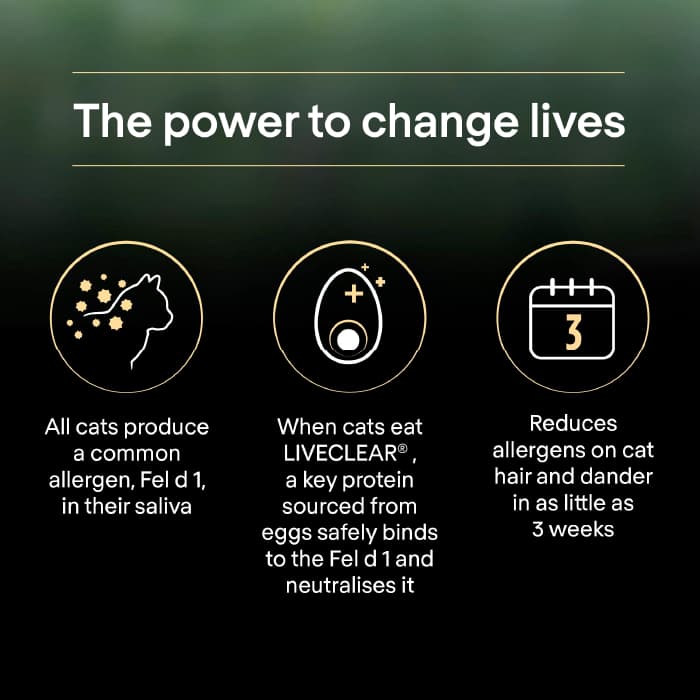 غذای خشک بچه گربه پروپلن مدل کیتن آلرژی طعم بوقلمون LiveClear وزن 1.4 کیلوگرم ProPlan Kitten — تصویر ۲