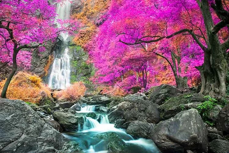 منظره لاکچری پوستر سه بعدی طبیعت