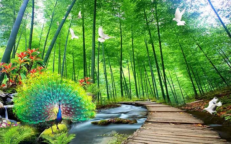 پوستر سه بعدی منظره پل چوبی — تصویر ۲