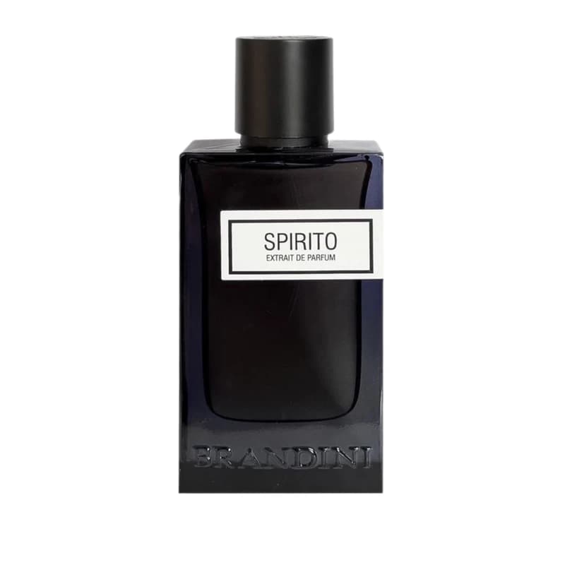 اکستریت دی پرفیوم مردانه برندینی مدل Spirito حجم 90 میل — تصویر ۴