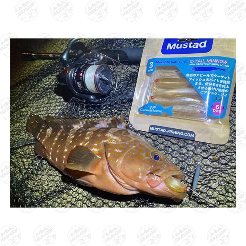 طعمه ماهی ژله ای موستاد شفاف اکلیل قرمز و طلایی ۹ سانتی Mustad Mezashi Z-TAIL MINNOW RED&GOLD GLITTER — تصویر ۷
