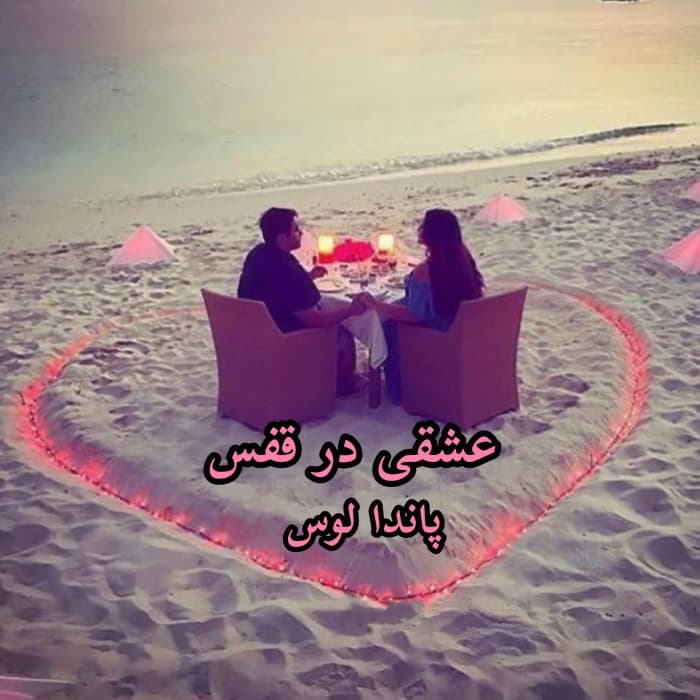 رمان عشقی در قفس اثر پاندالوسی و مهنوش | دانلود | کتاب خوان