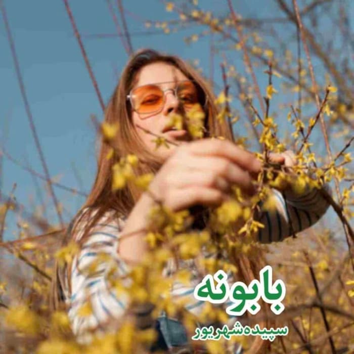 رمان بابونه سپیده شهریور | دانلود | کتاب خوان