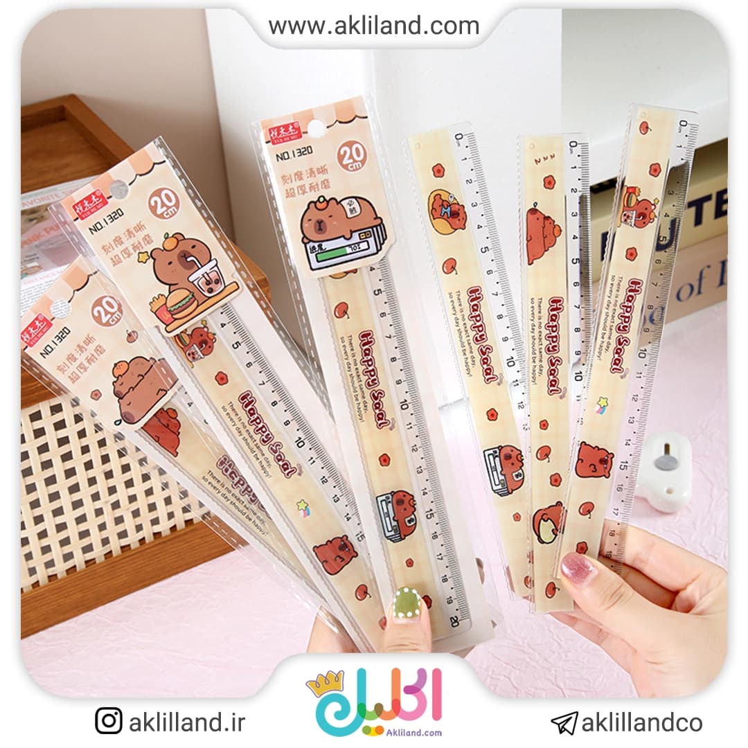 خط کش کاپی بارا 20 سانتی (مدل رندوم)