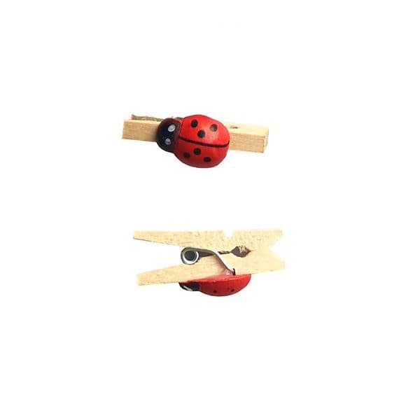 گیره کفشدوزک — تصویر ۲