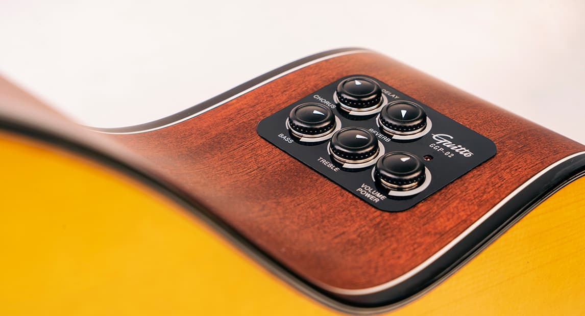 پیکاپ حرفه ای Guitto GGP 02