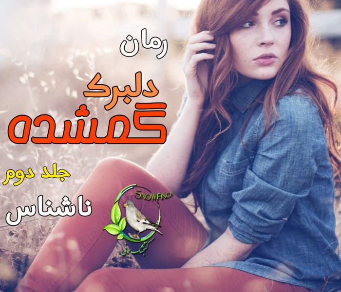 رمان دلبرک گمشده جلد 2 ادامه‌ی پرکشش ماجراجویی عاشقانه و مرموز | دانلود | کتاب خوان