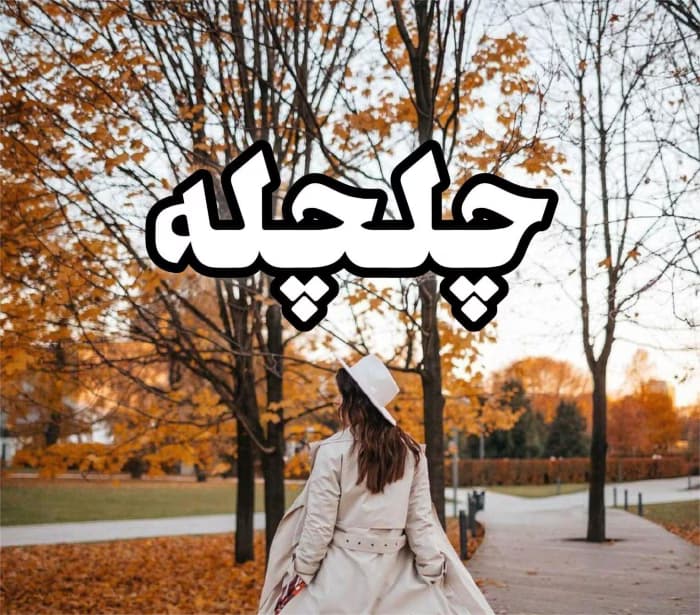 چلچله | دانلود | کتاب خوان
