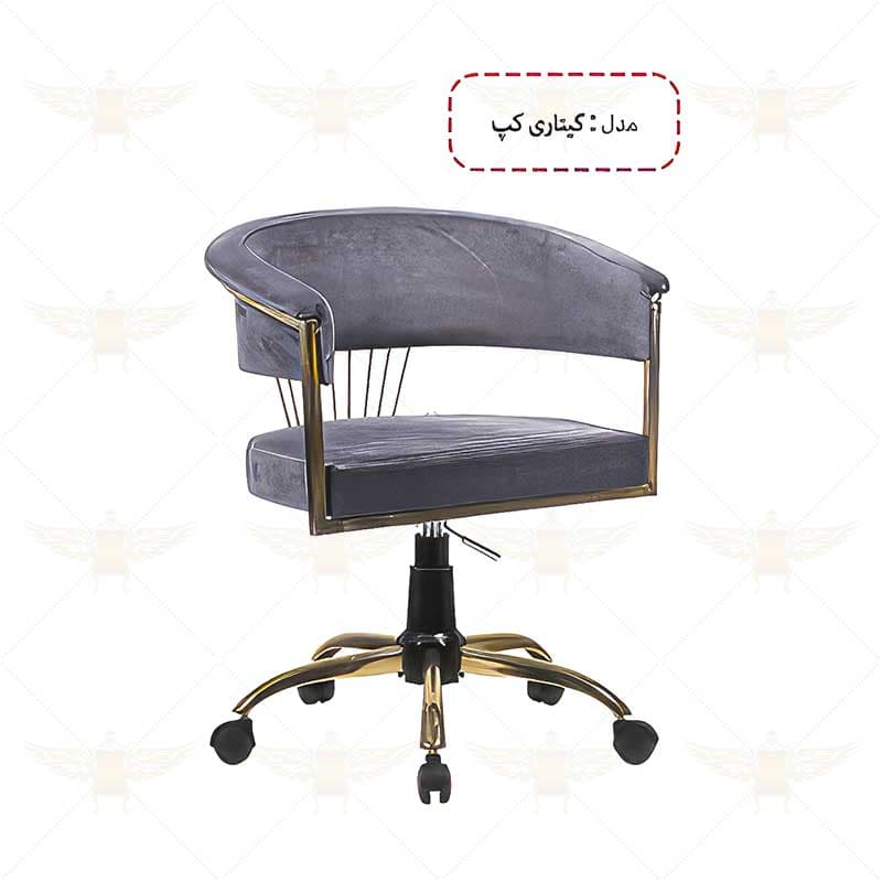 صندلی کارشناسی مدل گیتاری کپ
