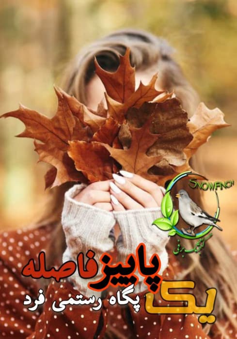 یک پاییز فاصله از پگاه رستمی فرد | دانلود | کتاب خوان