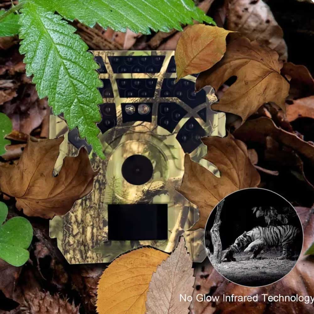 دوربین حیات وحش Trail Camera — تصویر ۴