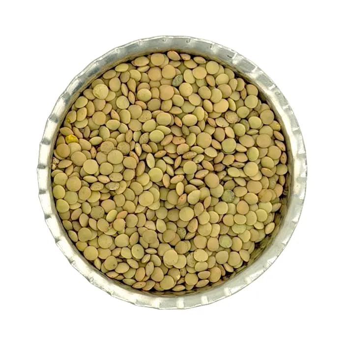 عدس ریز خارجی روس