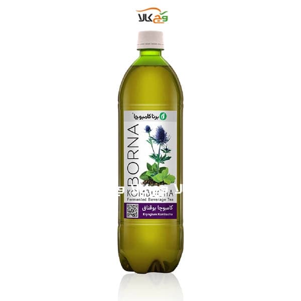 کامبوچا کنترل دیابت بوقناق (نوشیدنی تخمیری) برنا – 1 لیتری