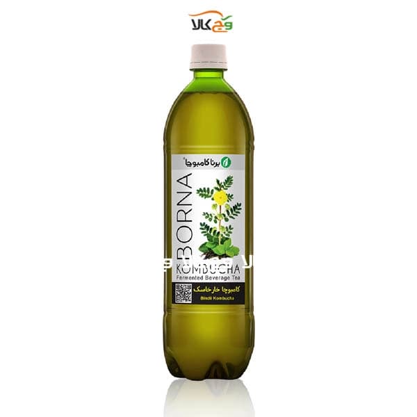 کامبوچا دفع سنگ کلیه و مثانه خارخاسک (نوشیدنی تخمیری) برنا – 1 لیتری