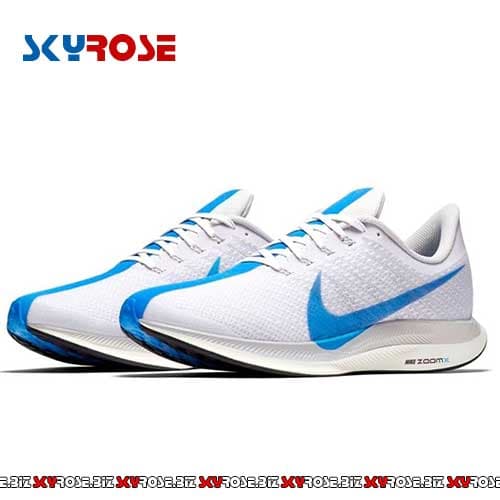 کفش مخصوص دویدن مردانه Zoom Pegasus