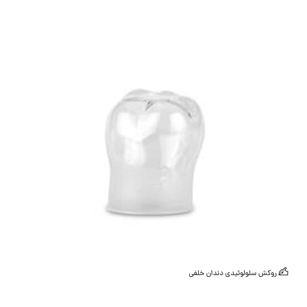 روکش سلولوئیدی دندان خلفی اس ال ام
