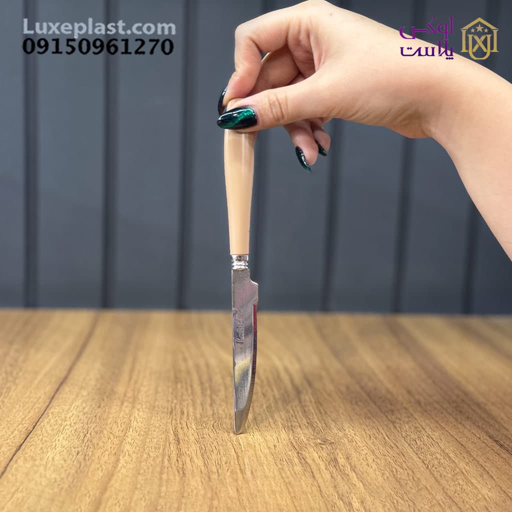 ست کارد و چنگال کلاسیک برند دافنی کد 800 — تصویر ۳