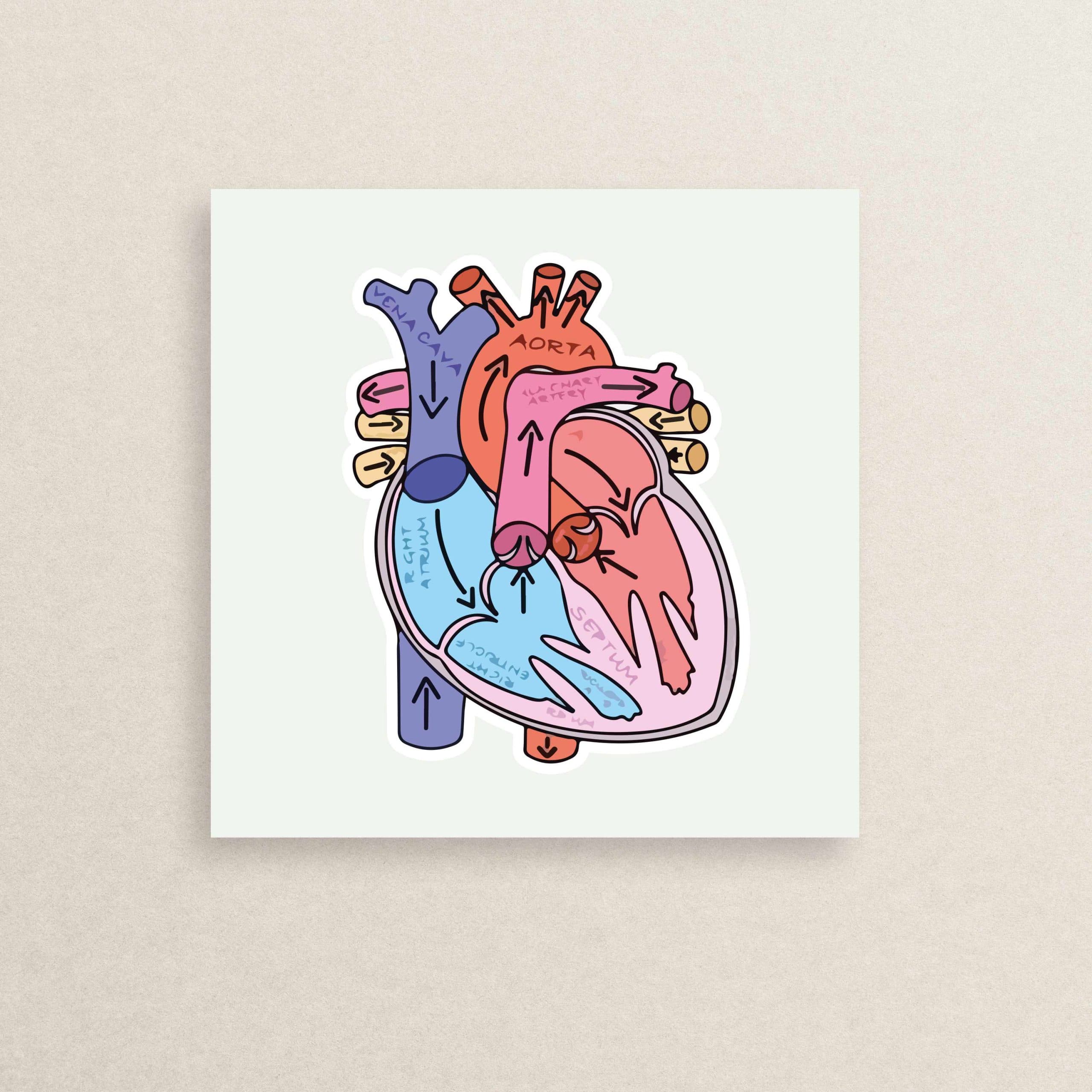 استیکر پزشکی – قلب 26 | Medical – Heart sticker 26