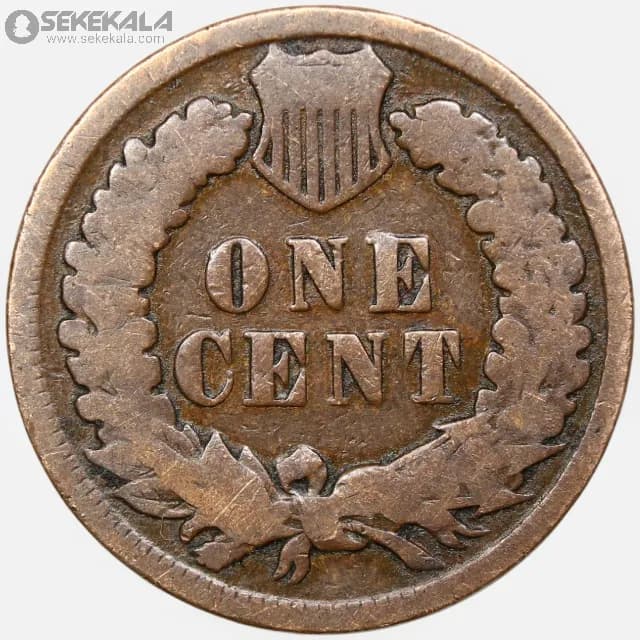 سکه 1 سنت قدیمی آمریکا 1895 (سرخپوست) — تصویر ۲