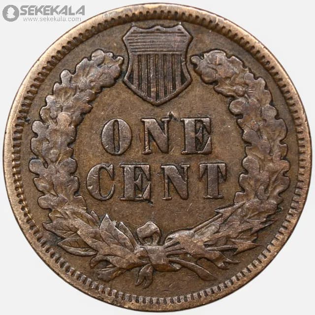 سکه 1 سنت قدیمی آمریکا 1899 (سرخپوست) — تصویر ۲