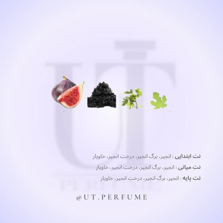 عطر تیری موگلر وومنیتی زنانه | Thierry Mugler – Womanity — تصویر ۳