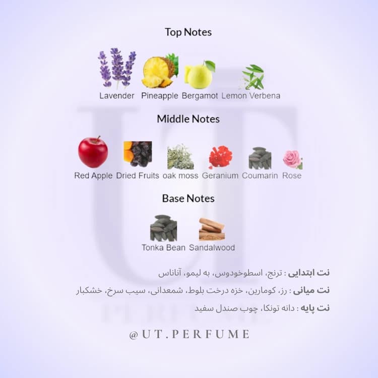 عطر مونت بلنک لجند مردانه | Mont Blanc – Legend — تصویر ۳
