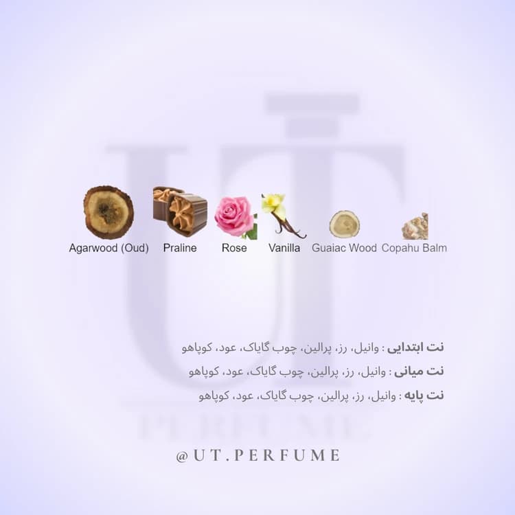 عطر لانکوم عود بوکت | Lancome – Oud Bouquet — تصویر ۳