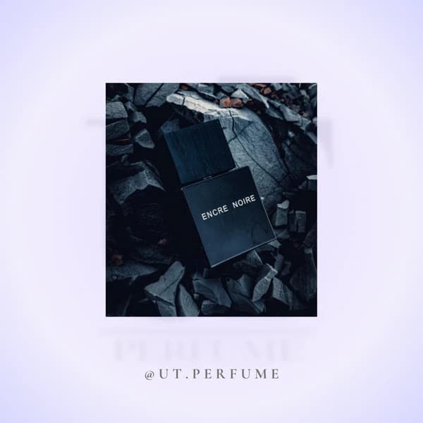 عطر لالیک انکر نویر مردانه | Lalique – Encre Noire — تصویر ۶