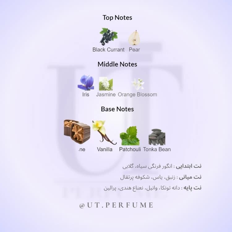 عطر لانکوم لا ویه است بله زنانه | Lancome – La Vie Est Belle — تصویر ۳
