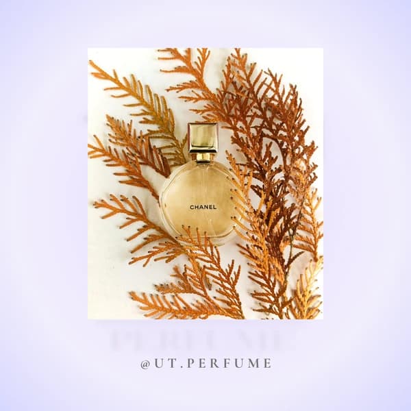 عطر شنل چنس زنانه | Chanel – Chance — تصویر ۵