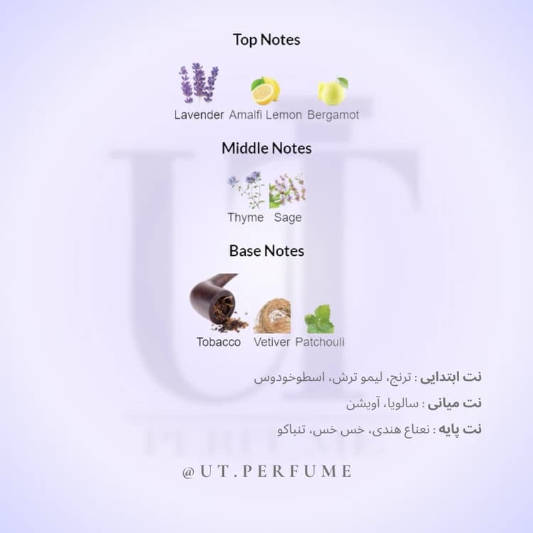 عطر راجر اند گالت اوپن مردانه | Roger & Gallet – Open — تصویر ۳