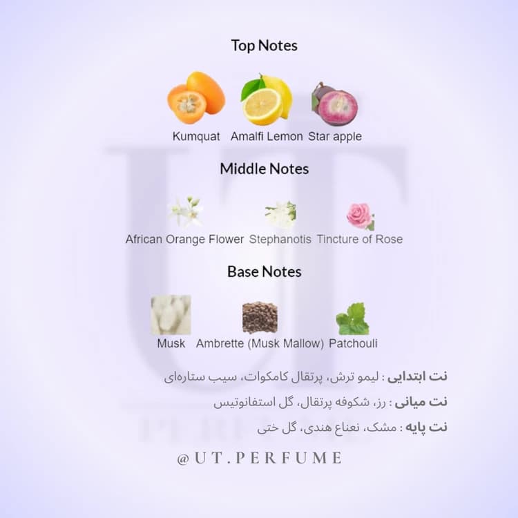 عطر ورساچه ورسوس زنانه | Versace – Versus — تصویر ۳