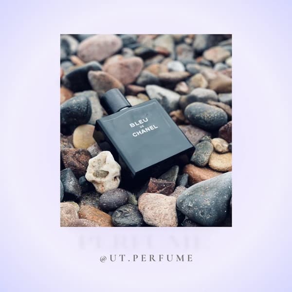 عطر شنل بلو د شنل مردانه | CHANEL – Bleu de Chanel — تصویر ۵