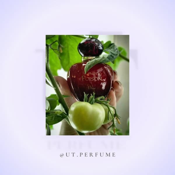 عطر دیور هیپنوتیک پویزن زنانه | Dior – Hypnotic Poison — تصویر ۵