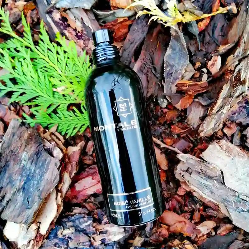 MONTALE Boise Vanille — تصویر ۳