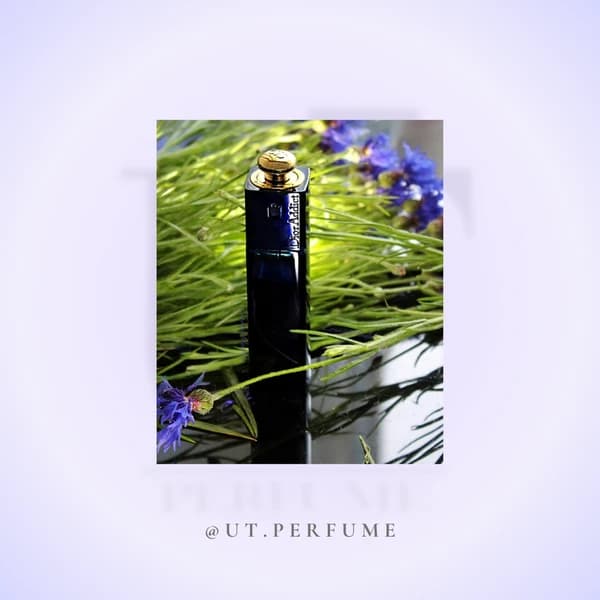 عطر دیور ادیکت زنانه | Dior – Addict — تصویر ۵