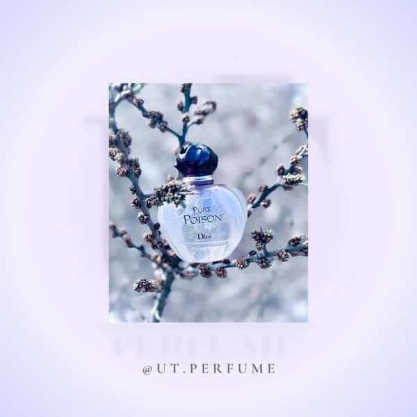 عطر دیور پیور پویزن زنانه | Dior – Pure Poison — تصویر ۶